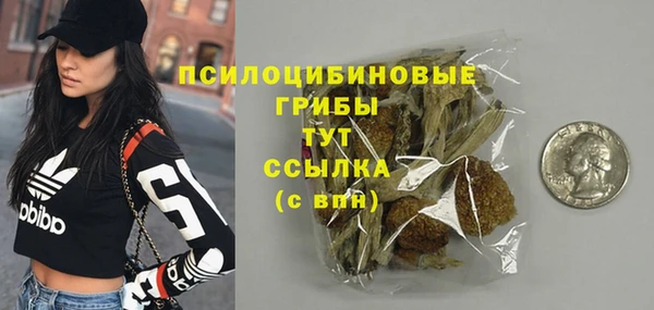 дмт Баксан