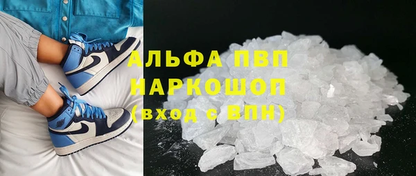 хмурый Белокуриха
