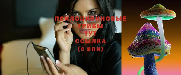 дмт Баксан
