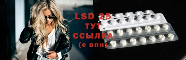 хмурый Белокуриха