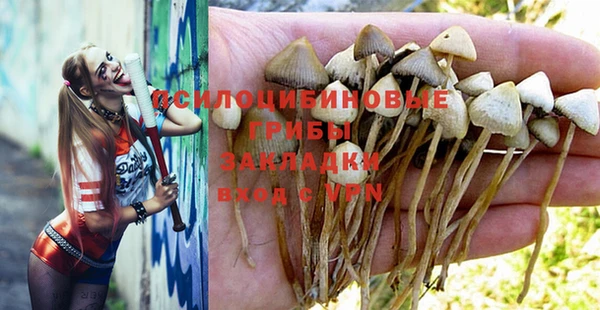 дмт Баксан