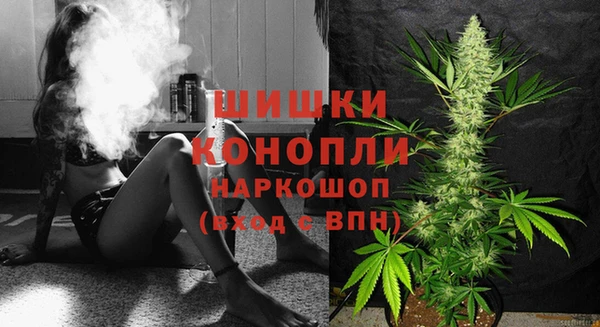 шишки Балабаново
