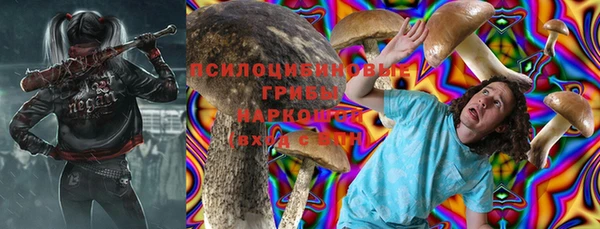 шишки Балабаново