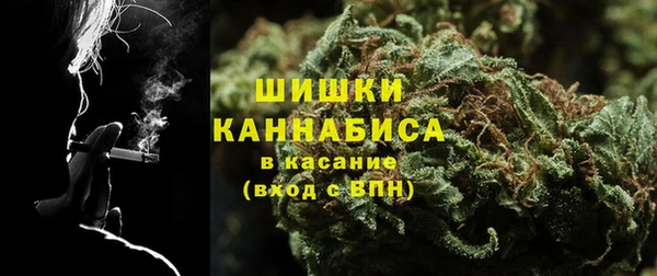 шишки Балабаново