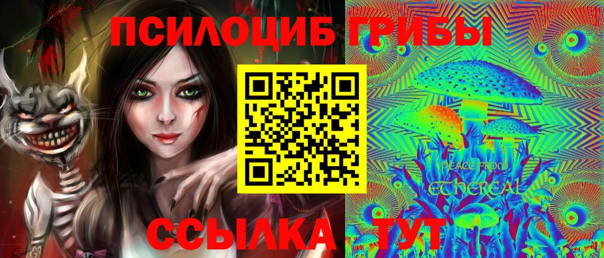 Печора  Галлюциногенные грибы прущие грибы  Вход с VPN 