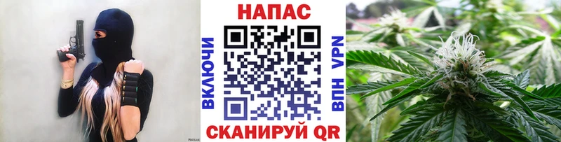 MEGA tor  Печора  Конопля Amnesia  купить  